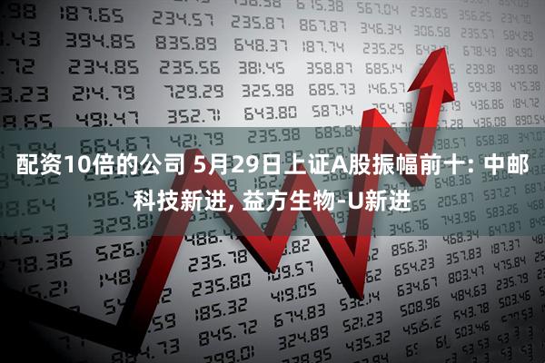 配资10倍的公司 5月29日上证A股振幅前十: 中邮科技新进, 益方生物-U新进