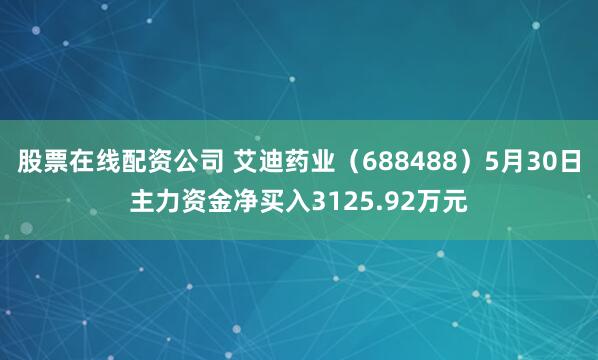 股票在线配资公司 艾迪药业（688488）5月30日主力资金净买入3125.92万元