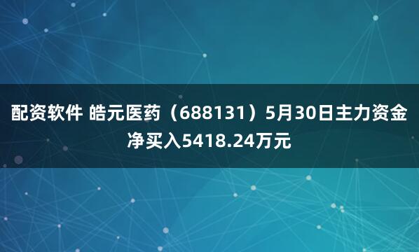 配资软件 皓元医药（688131）5月30日主力资金净买入5418.24万元