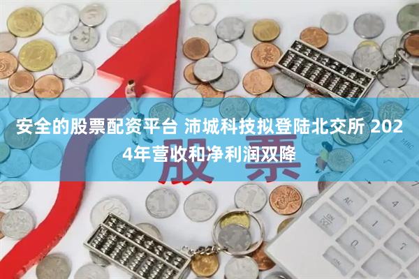 安全的股票配资平台 沛城科技拟登陆北交所 2024年营收和净利润双降