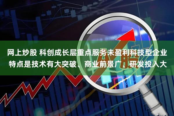 网上炒股 科创成长层重点服务未盈利科技型企业 特点是技术有大突破、商业前景广、研发投入大
