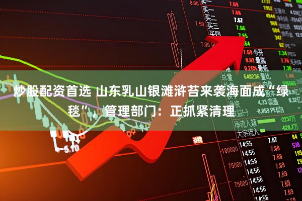 炒股配资首选 山东乳山银滩浒苔来袭海面成“绿毯”，管理部门：正抓紧清理